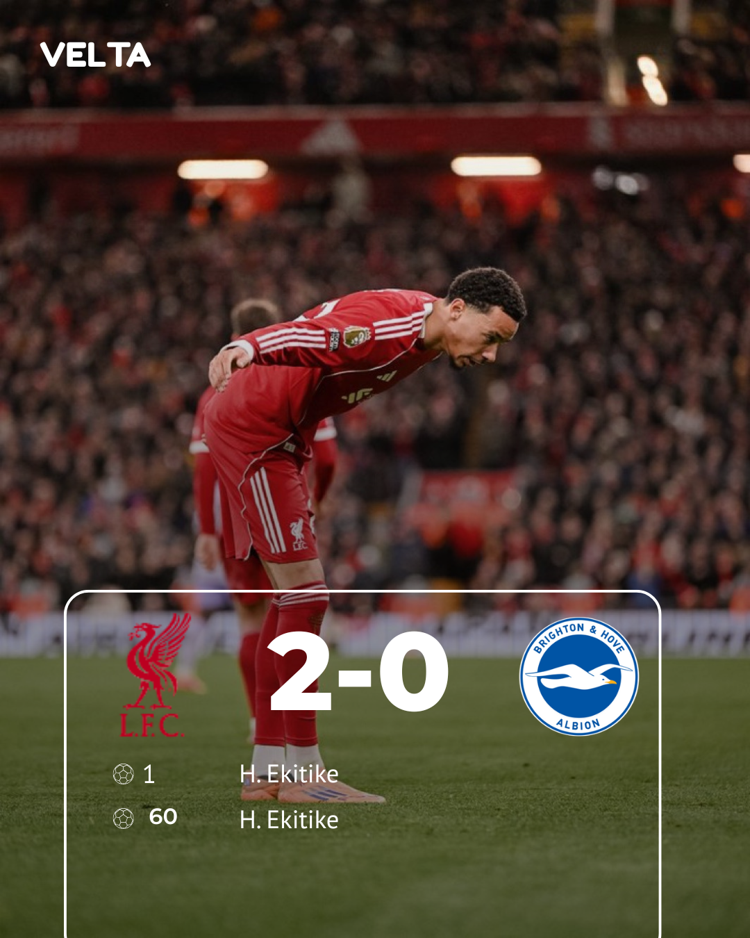 Liverpool vs Brighton